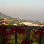 Premium Bed & Breakfast 4*