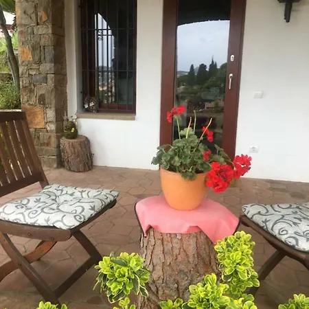 Premium Bed & Breakfast