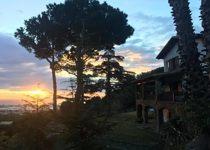 Oda ve Kahvaltı Premium