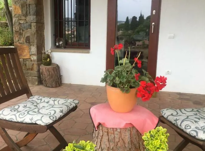 Premium Oda ve Kahvaltı